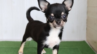 Thumbnail of post image 060