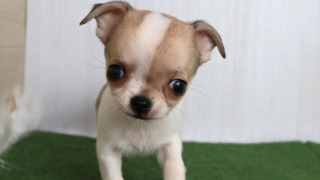 Thumbnail of post image 200