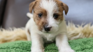 Thumbnail of post image 156