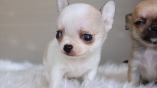 Thumbnail of post image 025