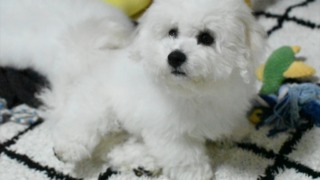Thumbnail of post image 014