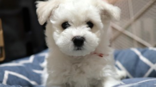 Thumbnail of post image 130