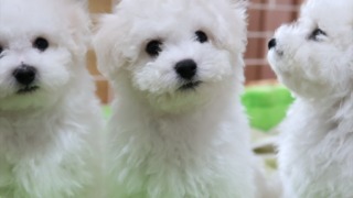 Thumbnail of post image 045