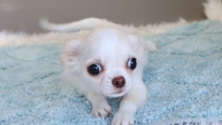 Thumbnail of post image 174