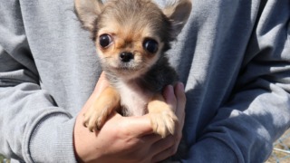 Thumbnail of post image 096