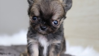 Thumbnail of post image 152