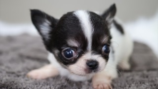 Thumbnail of post image 058