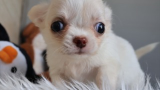 Thumbnail of post image 124