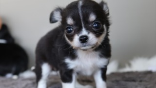 Thumbnail of post image 105