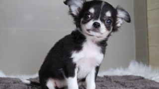 Thumbnail of post image 113