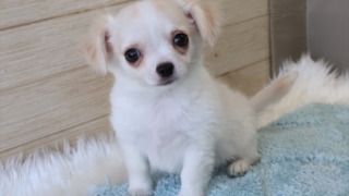 Thumbnail of post image 183