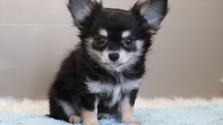 Thumbnail of post image 093