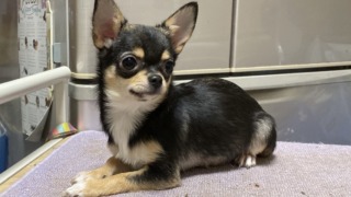 Thumbnail of post image 125