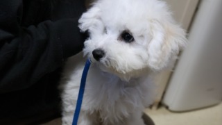 Thumbnail of post image 154