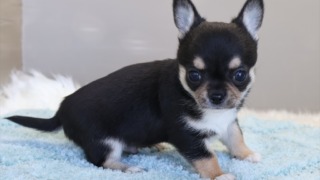 Thumbnail of post image 021