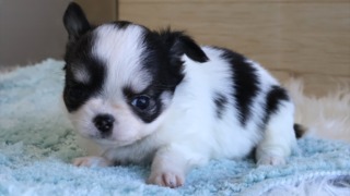 Thumbnail of post image 105