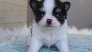 Thumbnail of post image 103