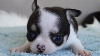 Thumbnail of post image 117