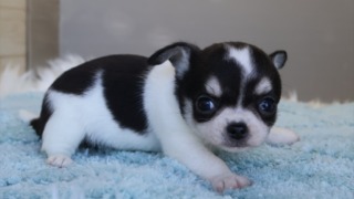 Thumbnail of post image 098