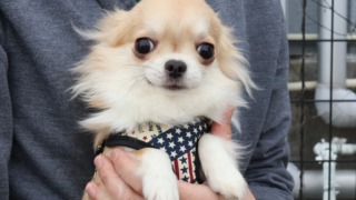 Thumbnail of post image 009