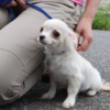 Thumbnail of related posts 174