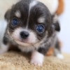 Thumbnail of related posts 132