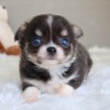 Thumbnail of related posts 060