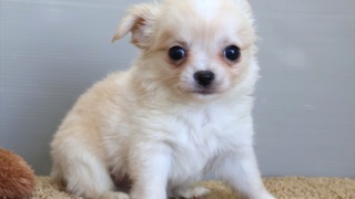 Thumbnail of post image 010