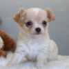 Thumbnail of related posts 073