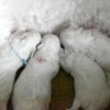 Thumbnail of related posts 050