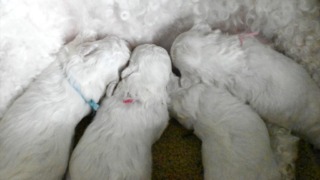 Thumbnail of post image 036