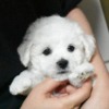 Thumbnail of related posts 013