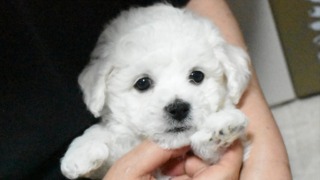 Thumbnail of post image 147