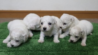 Thumbnail of post image 167