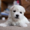 Thumbnail of related posts 075