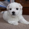 Thumbnail of related posts 139