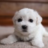 Thumbnail of related posts 184