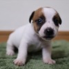 Thumbnail of related posts 031
