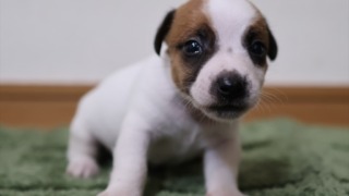 Thumbnail of post image 020