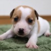 Thumbnail of related posts 005