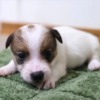 Thumbnail of related posts 127