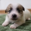 Thumbnail of related posts 015