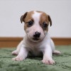 Thumbnail of related posts 180