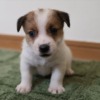 Thumbnail of related posts 044