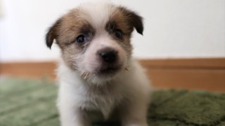 Thumbnail of post image 045