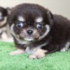 Thumbnail of related posts 073