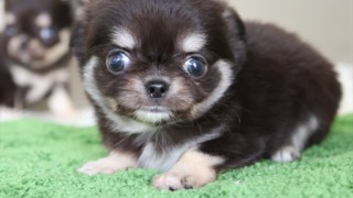 Thumbnail of post image 051