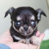 Thumbnail of related posts 054