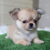 Thumbnail of related posts 006