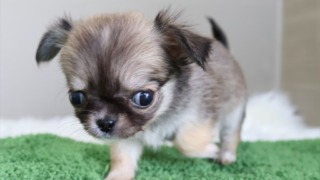 Thumbnail of post image 020